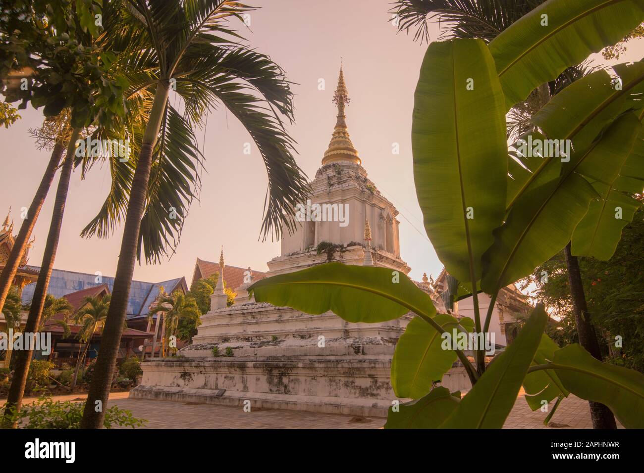 the Wat Wiang Kum Kam Temple in the city of Chiang Mai at north ...