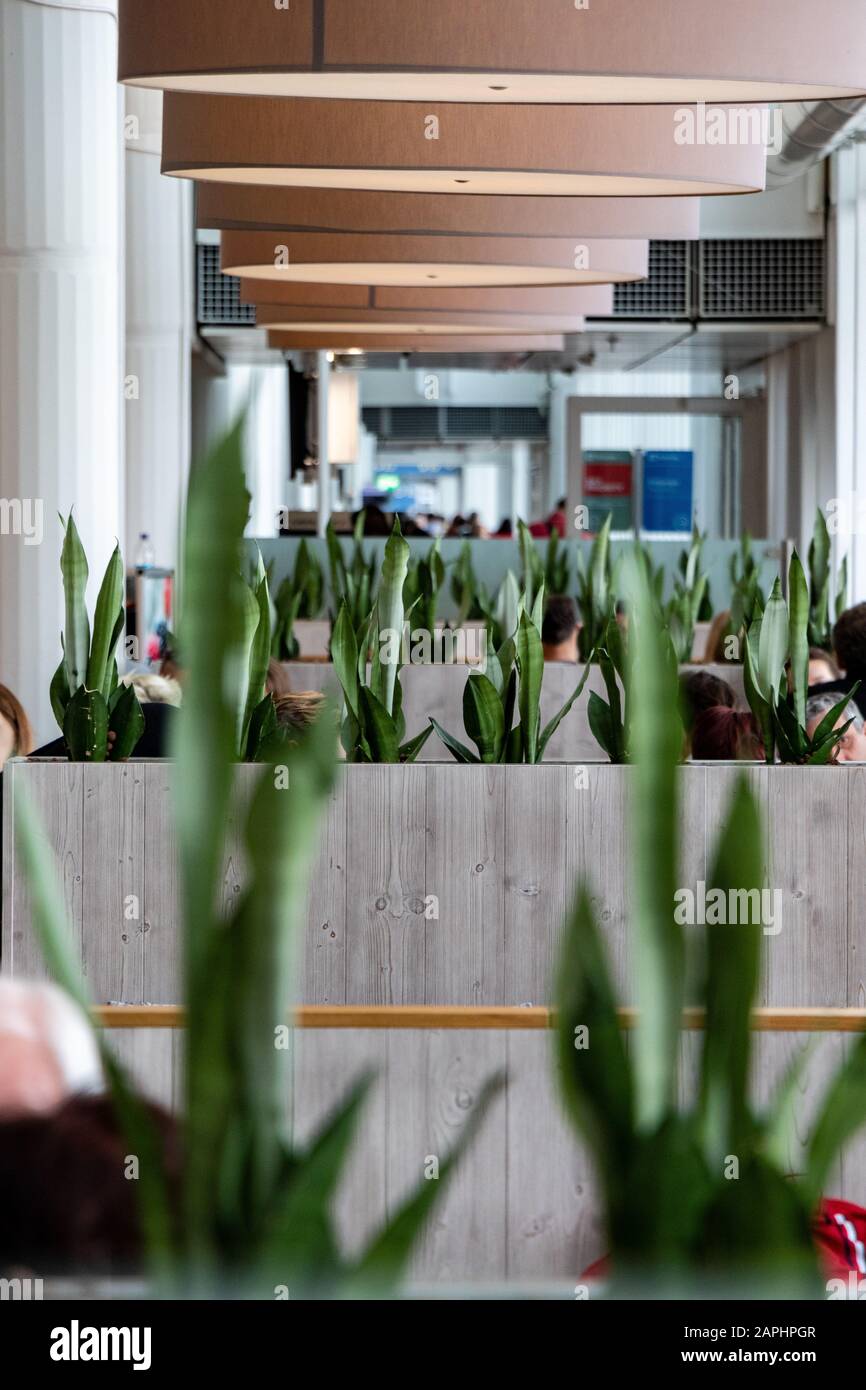 Airport, Munich, Germany - 09 April 2019: boarding area at munich airport terminal 2 with green plants. Stock Photo