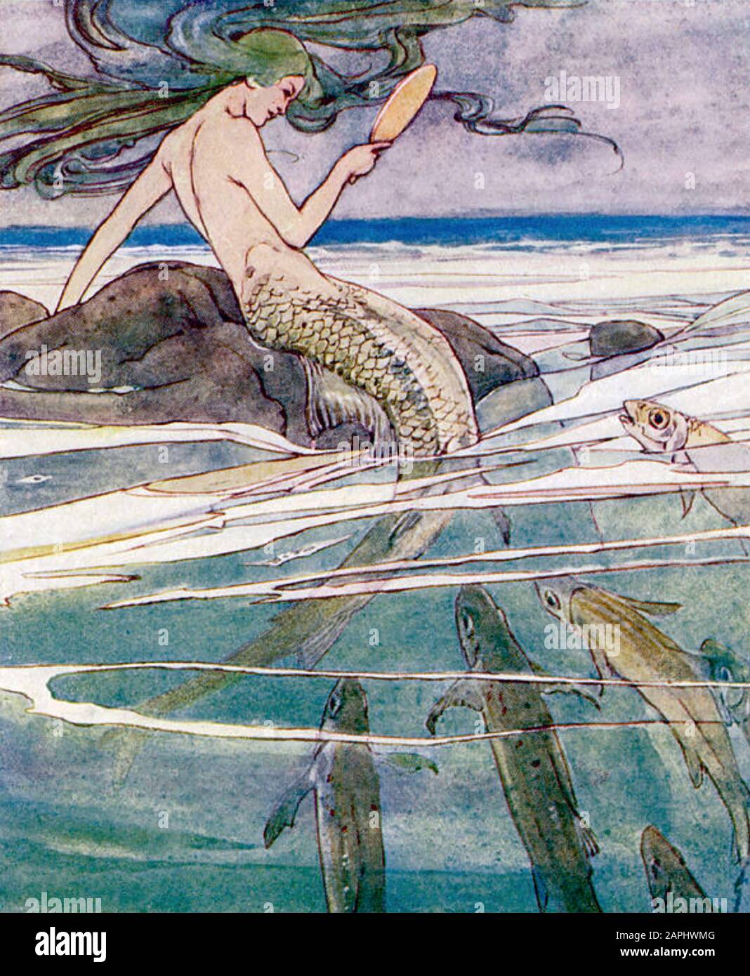 MERMAID WITH FISH in a 1905 illustration, possibly by Arthur Rackham Stock Photo
