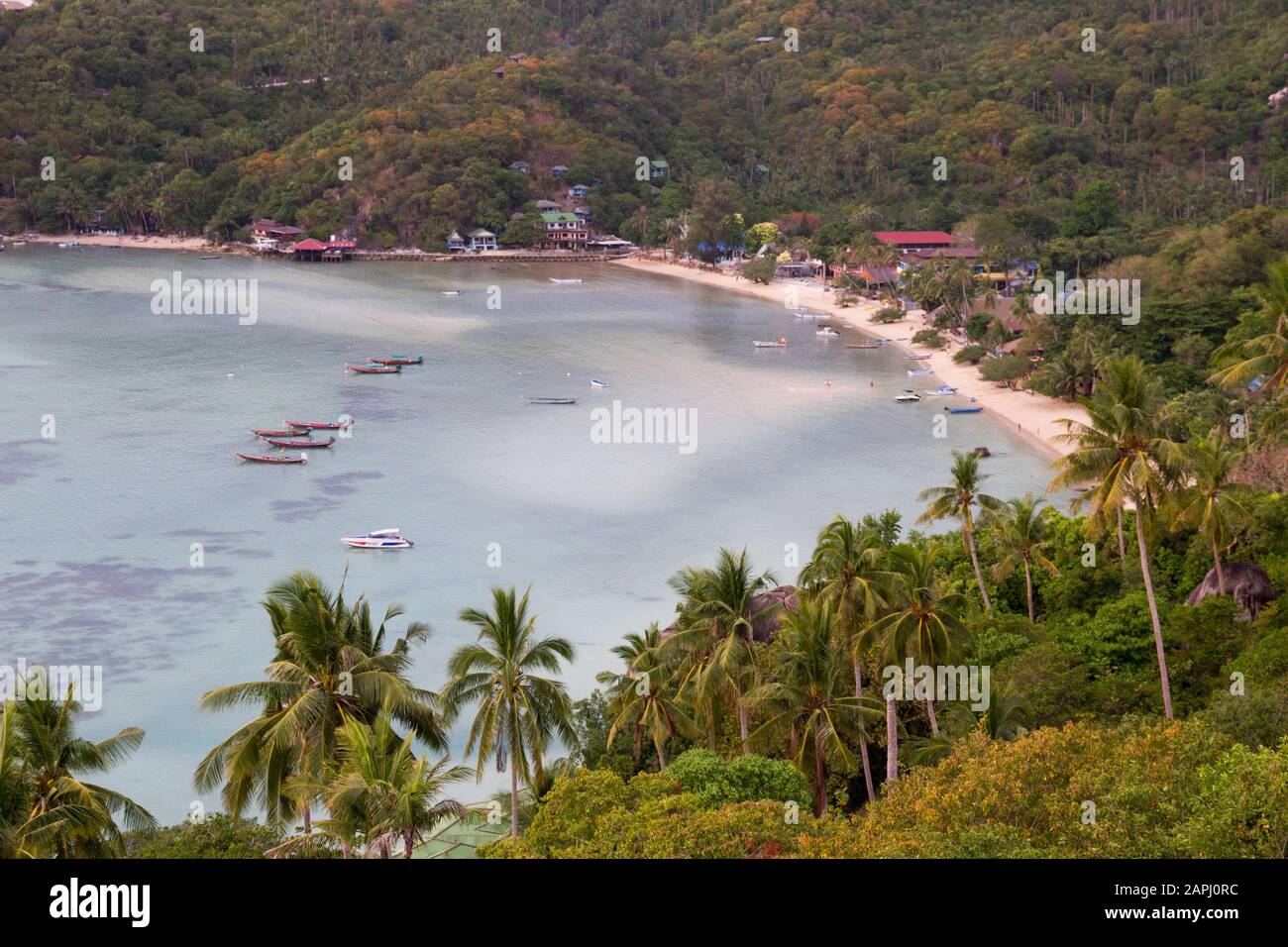 Koh Tao freedom beach Thailand Stock Photo Alamy