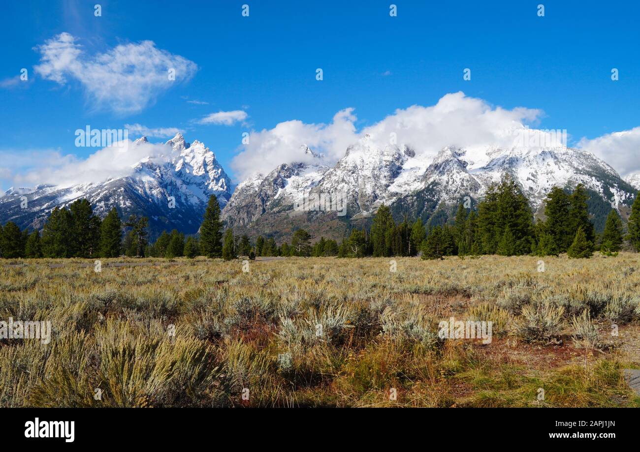The beauty of September in the Tetons shows changing colors in the meadows and snow on the mountains. Stock Photo