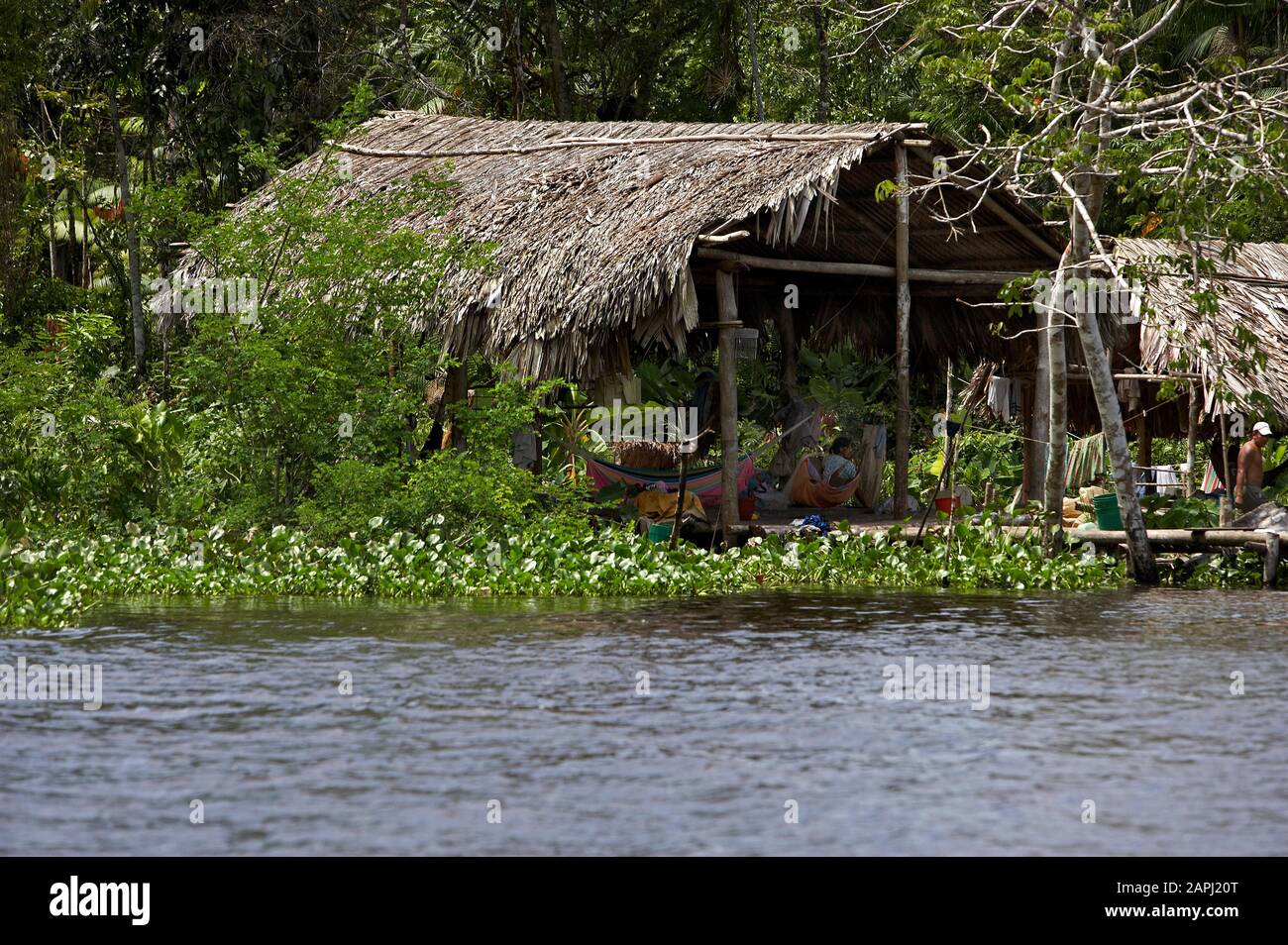 Warao's House along River, Indian Living in Orinoco Delta, Venezuela Stock Photo
