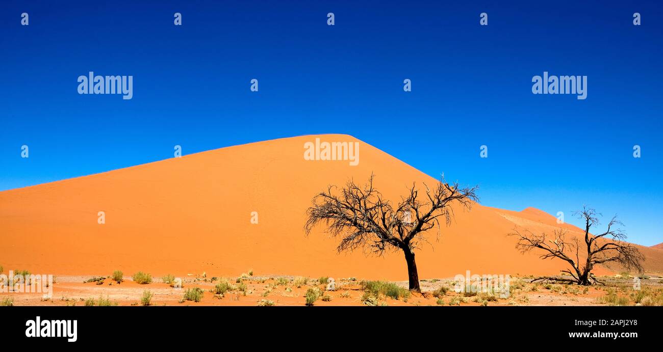 Namib Desert, Namib-Naukluft Park, Sossusvlei Dunes, Dune 45, Namibia ...