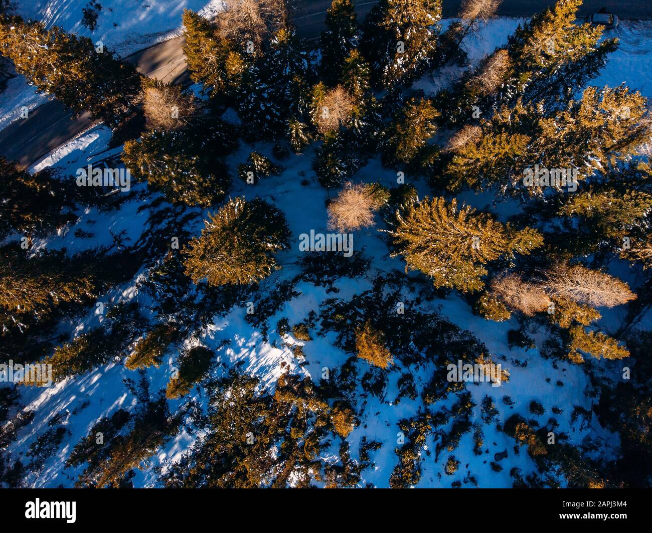 Aerial top view thick hi-res stock photography and images - Alamy