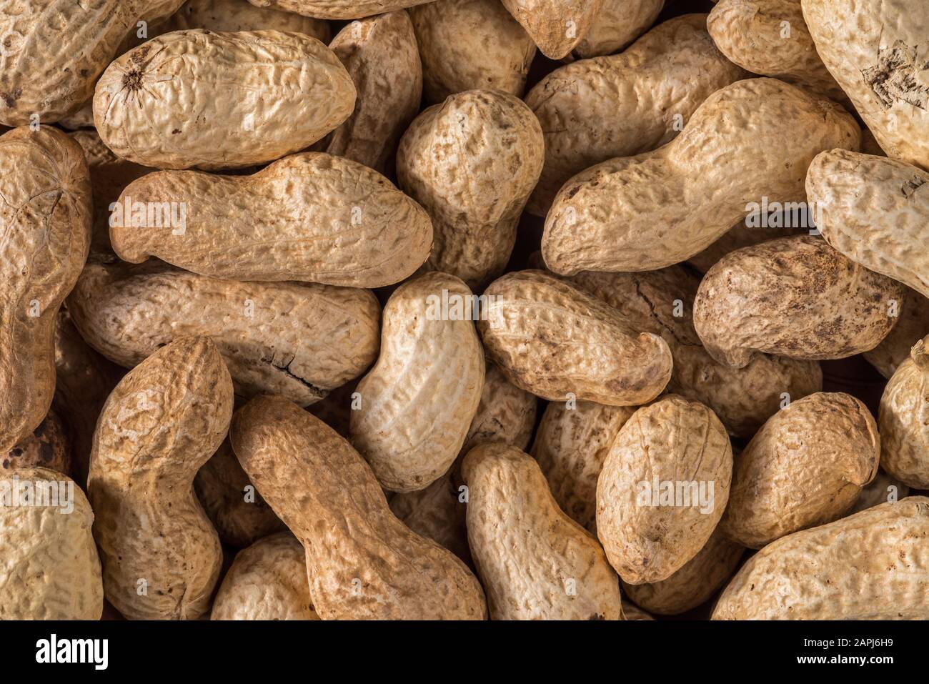 Closeup of peanuts / groundnuts / goobers / monkey nuts in their