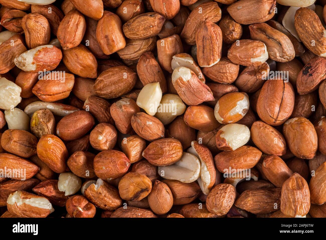Closeup of pealed peanuts / groundnuts / goobers / monkey nuts without
