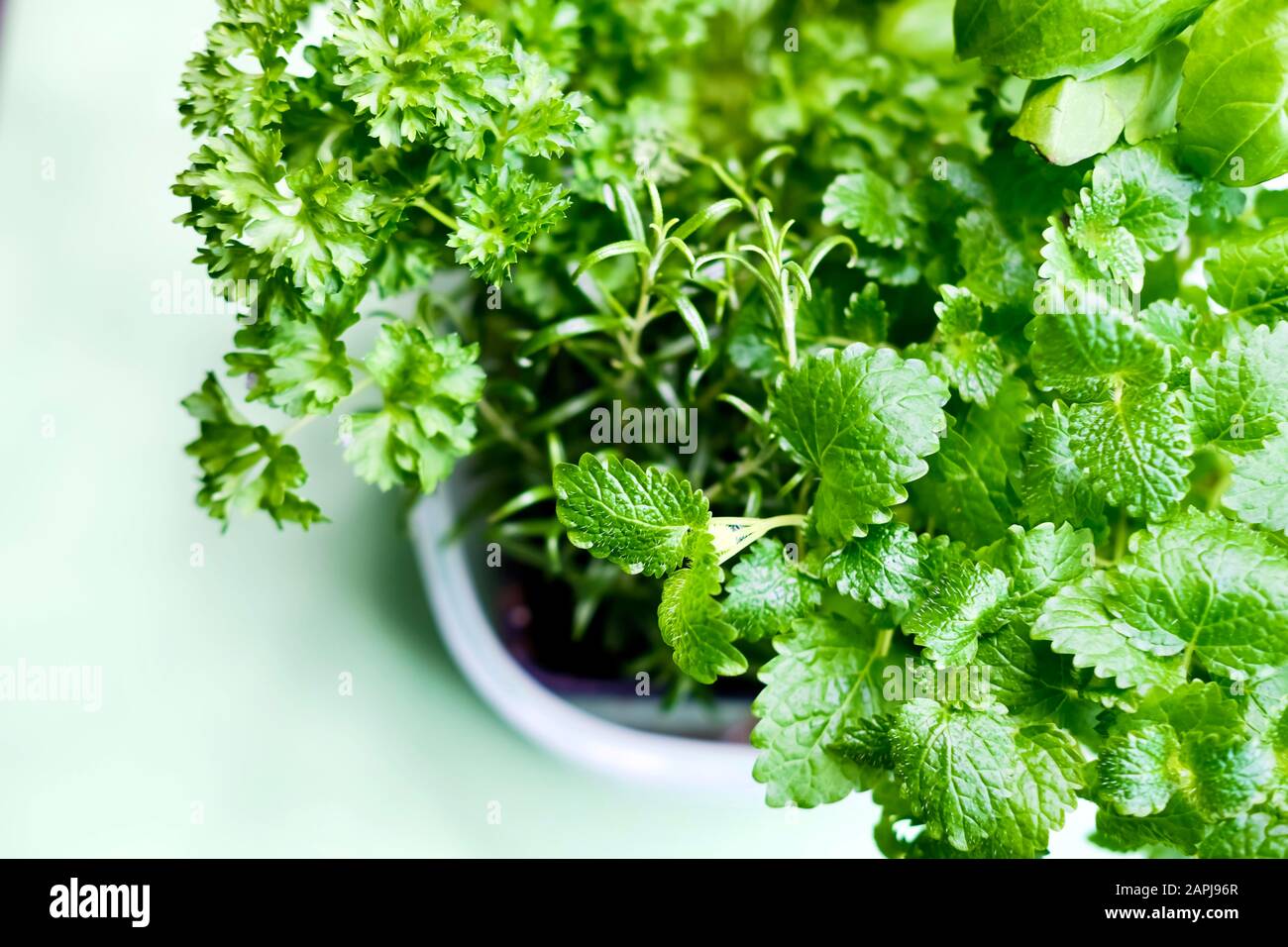Healthy food and herbs hires stock photography and images Alamy