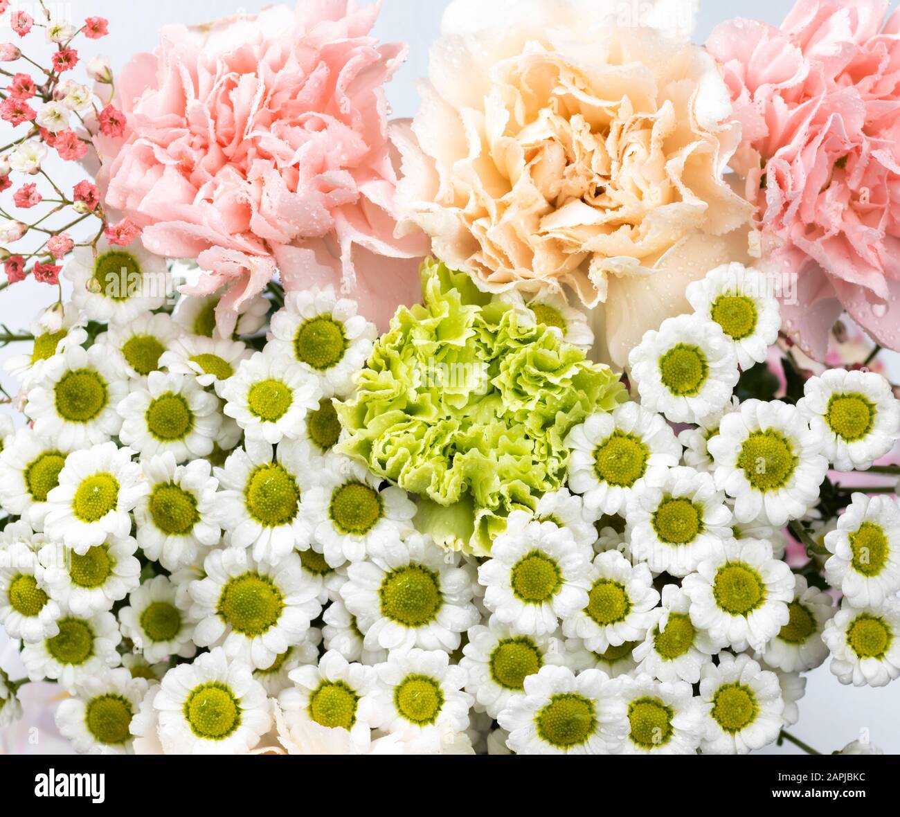 Still life of flowers on white background Stock Photo - Alamy