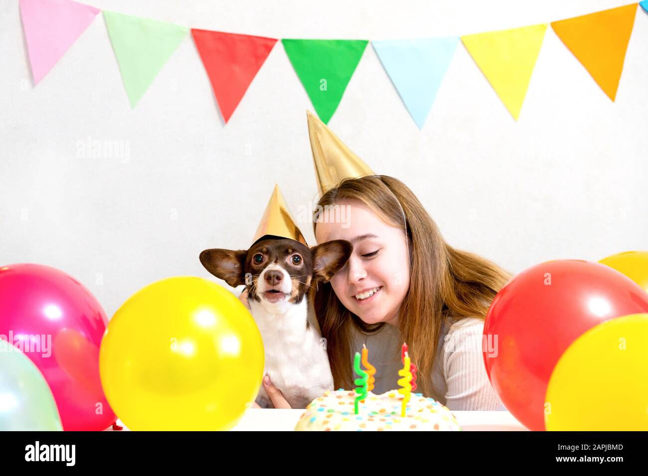 Cute Small Funny Dog With A Birthday Cake And A Party Hat Celebrating Birthday With Girl Mistress Beautiful Young Woman And A Dog In Holiday Caps Happy Birthday Party Friendship Concept Stock Cute Small Funny Dog With A Birthday Cake And A Party Hat Celebrating Birthday With Girl Mistress Beautiful Young Woman And A Dog In Holiday Caps Happy Birthday Party Friendship Concept Stock