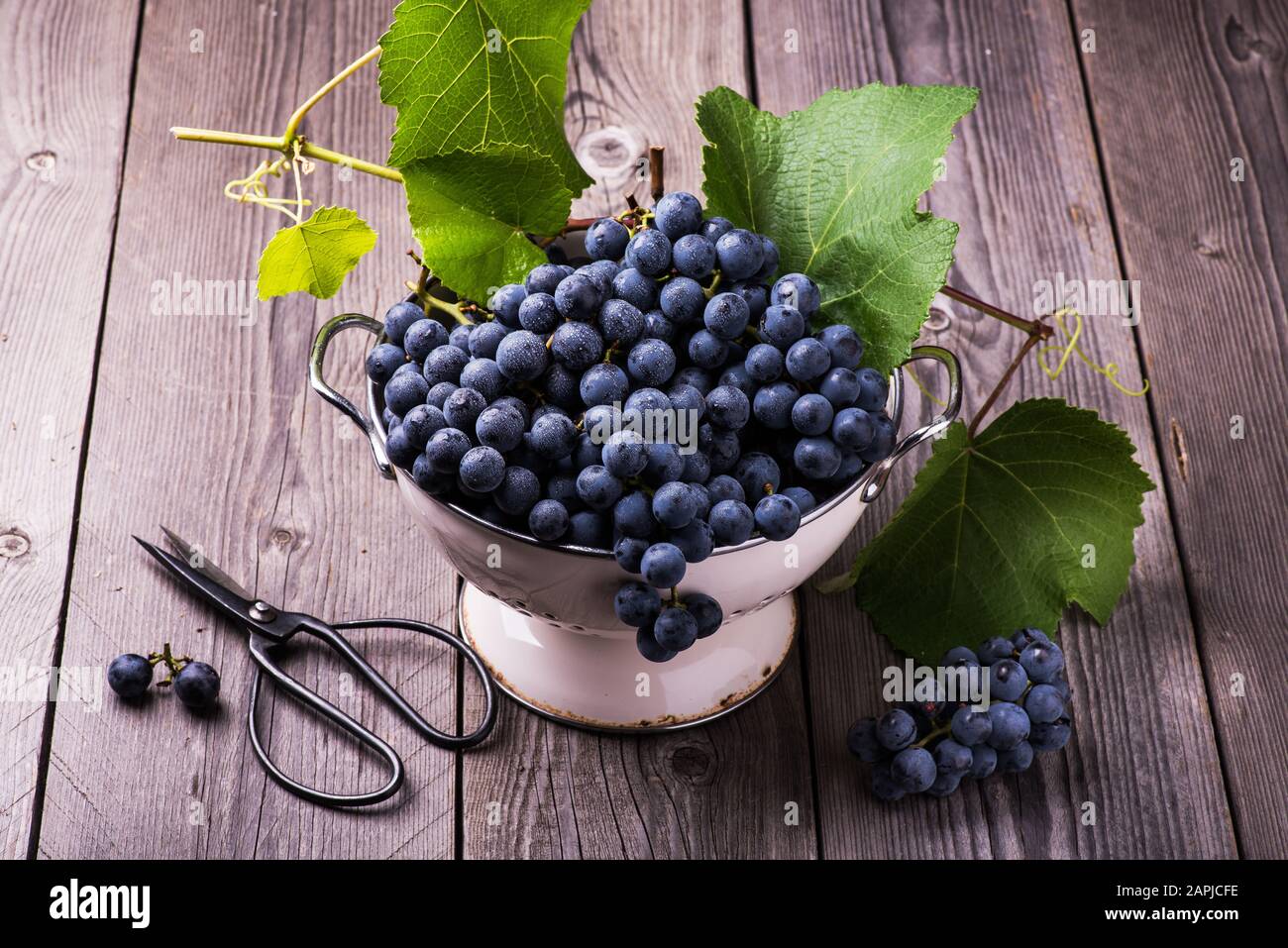 still life with black grapes in an old colander on rough wooden table Stock Photo