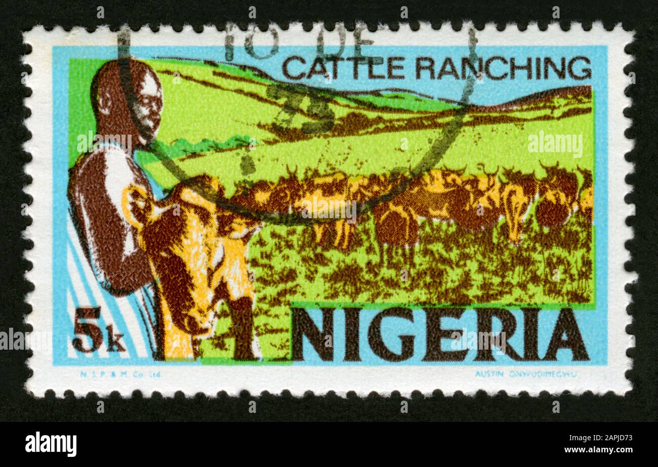 Stamp print in Nigeria,Cattle ranchng,animal husbandry Stock Photo - Alamy Stamp print in Nigeria,Cattle ranchng,animal husbandry Stock Photo - Alamy