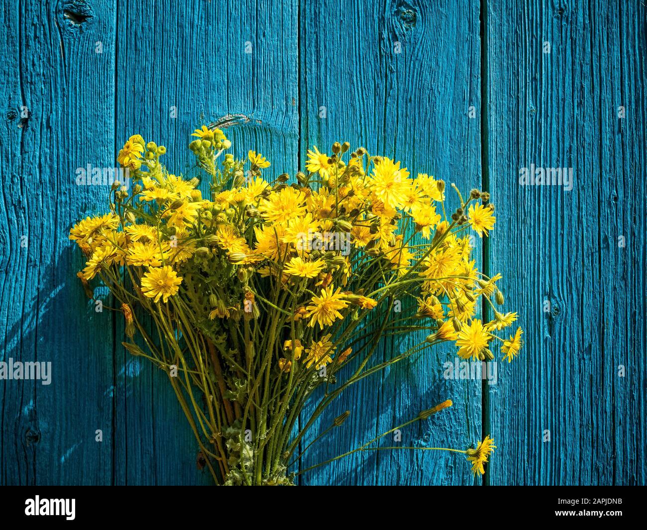Birthday flowers vintage hi-res stock photography and images - Alamy