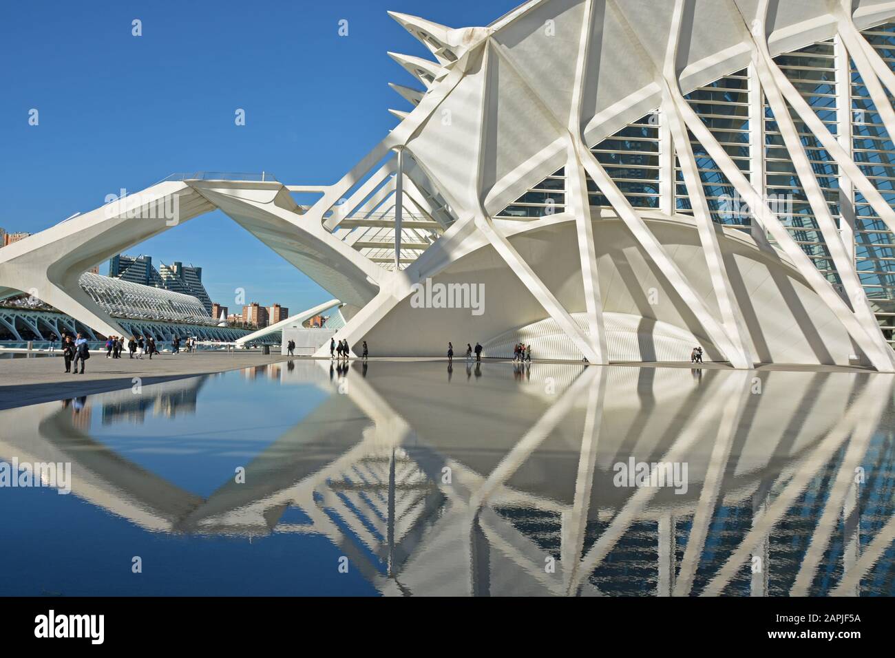 Valencia and the architecture of Santiago Calatrava Stock Photo - Alamy