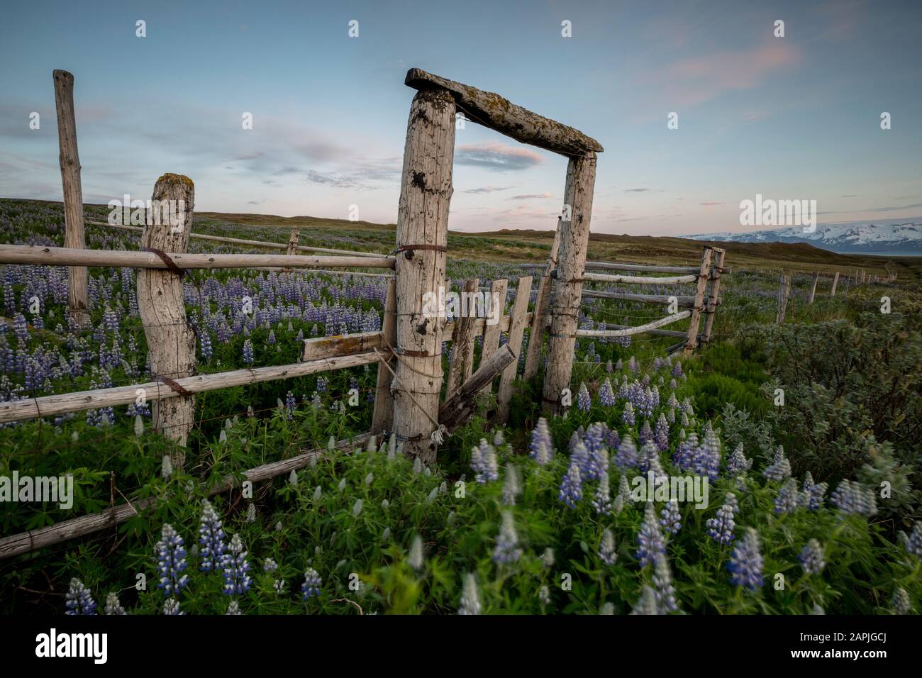 Old farm entrance hi-res stock photography and images - Alamy