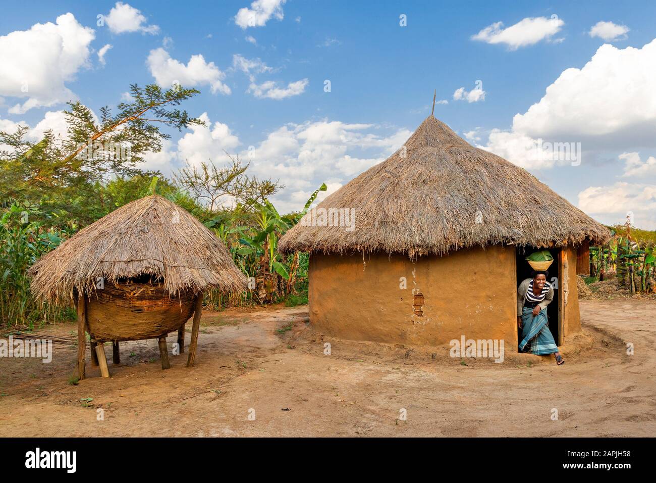 Local woman carrying a basket of matooke, known as cooked bananas, and coming out the house, in Kitwa, Uganda Stock Photo
