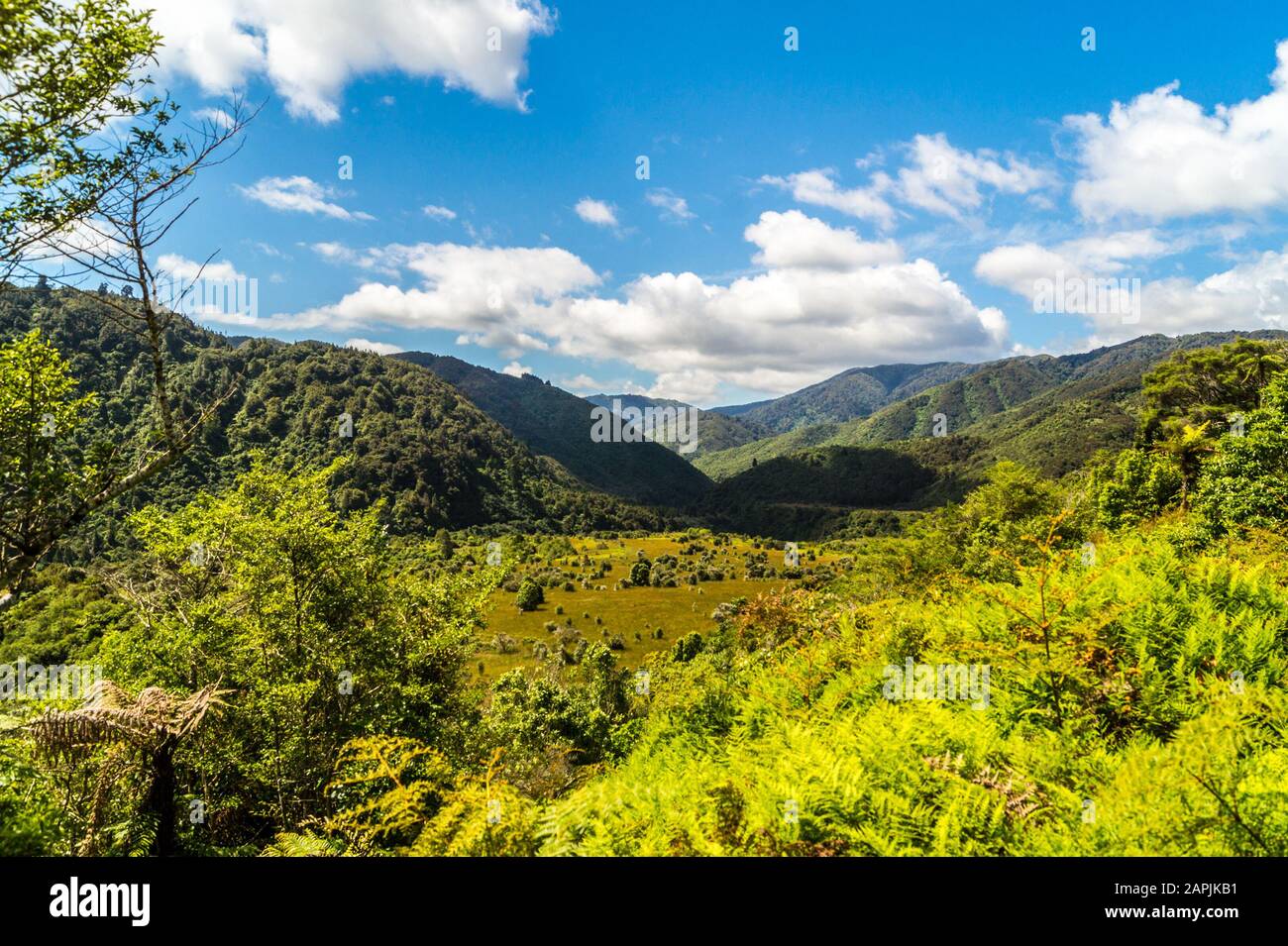 Tararua Forest Park, Ōtaki Forks, Ōtaki, North Island, New Zealand Stock Photo