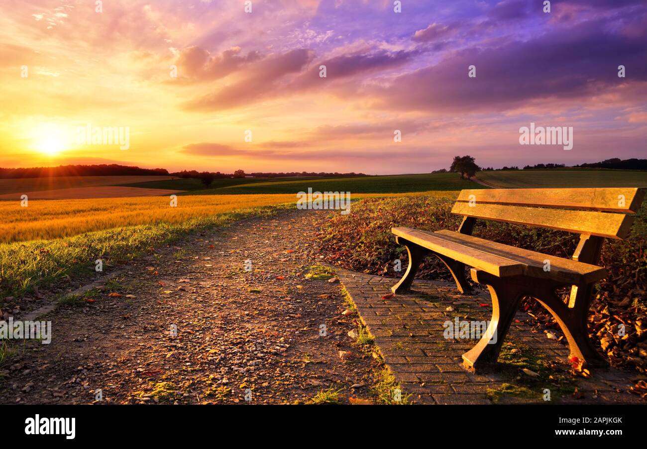Colorful sunset scenery in rural landscape with a bench and a path in the foreground, gold fields and dramatic vivid sky in the background Stock Photo