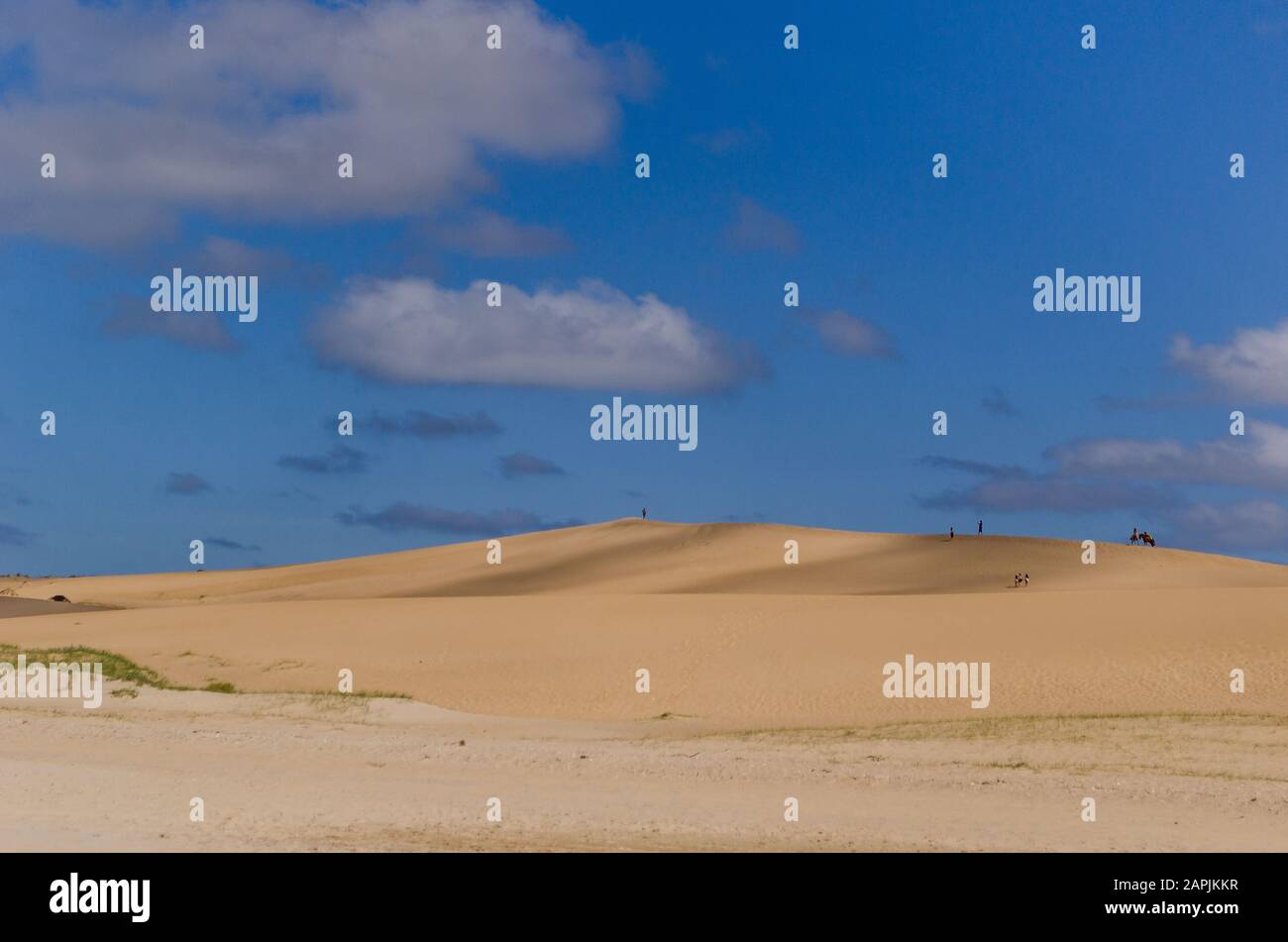 Beach landscapes and dunes in Barra de Valizas, Uruguay. February 2018. Stock Photo