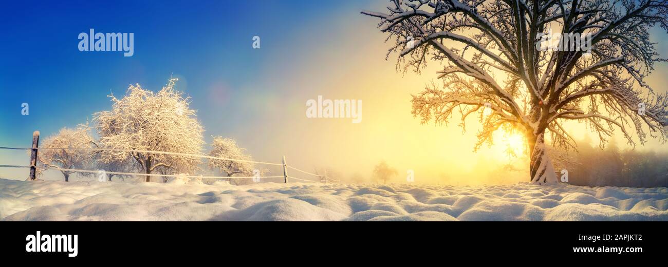 Rural snow-covered landscape with the winter sun, a panoramic shot with gold and blue sky Stock Photo