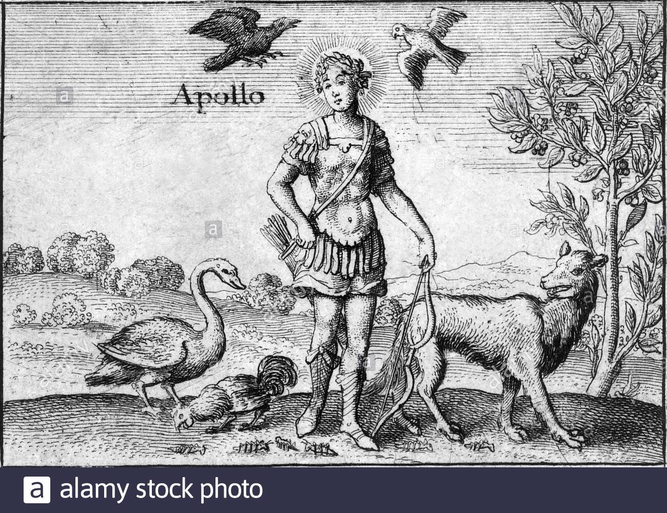 Greek god Apollo, etching by Bohemian etcher Wenceslaus Hollar from 1600s Stock Photo