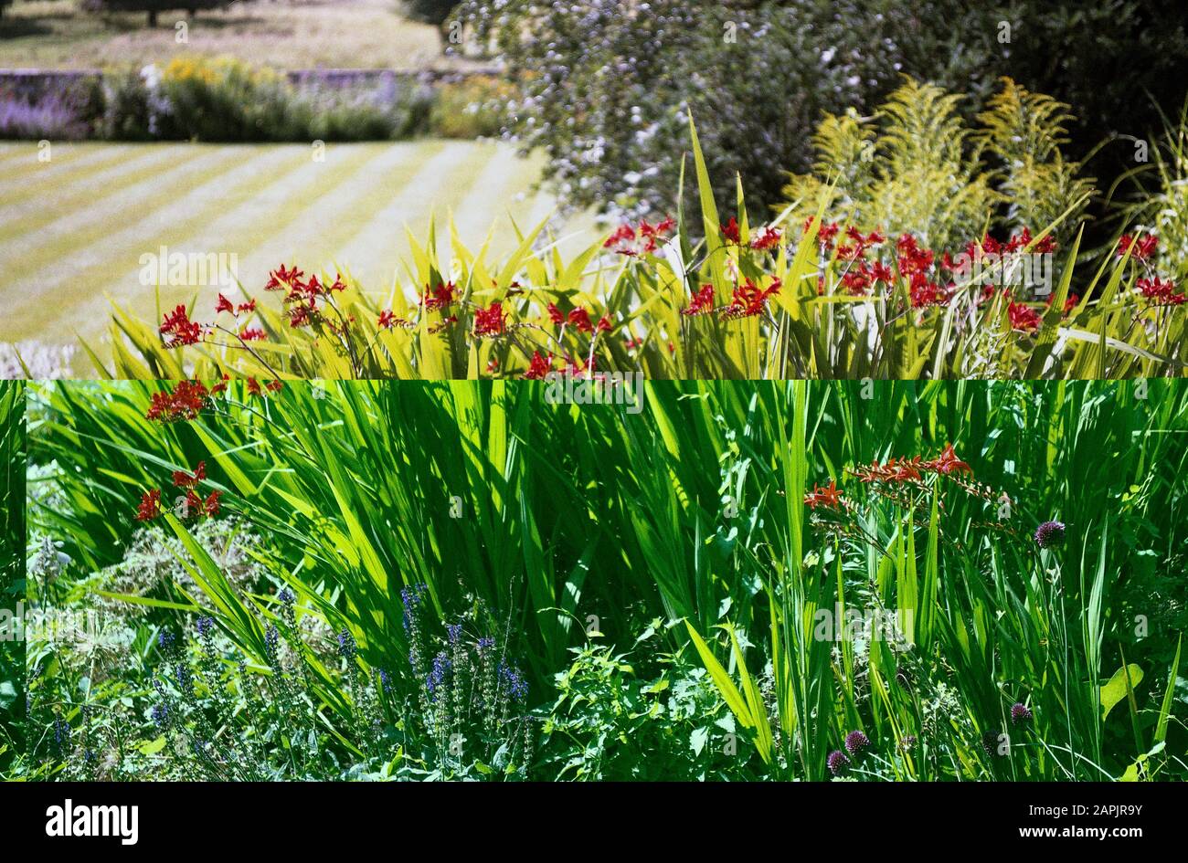 Lush green english park hi-res stock photography and images - Alamy