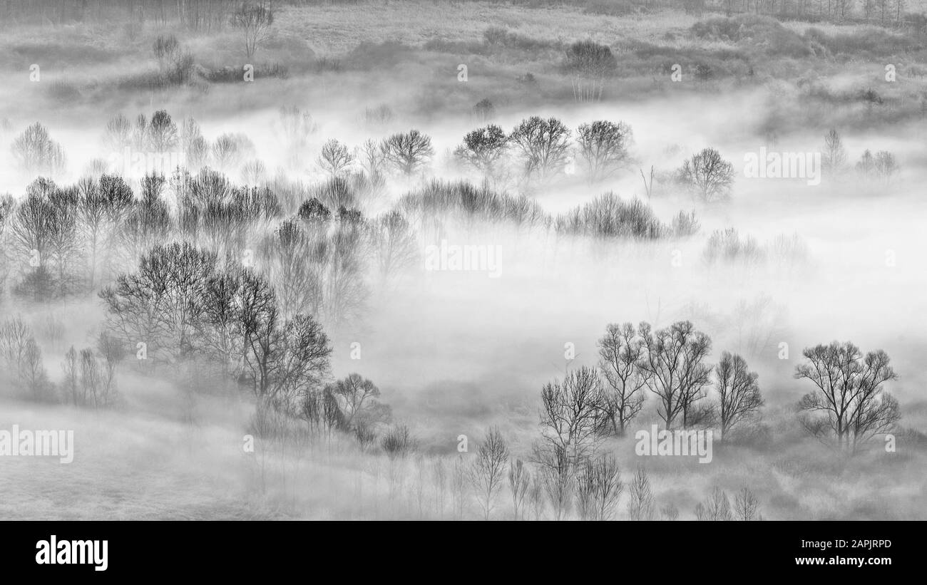 Aerial view of foggy forest Black and White Stock Photos & Images - Alamy