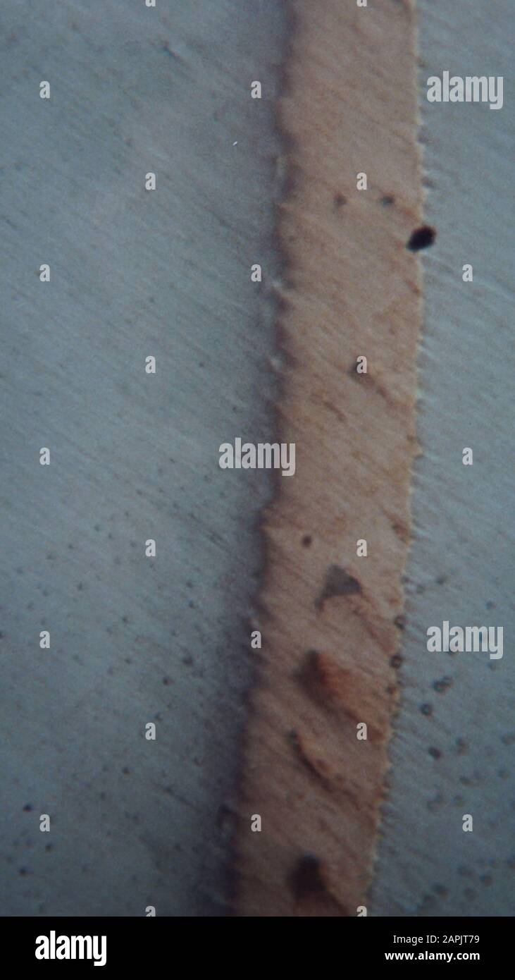 micrograph of a furnace brazed copper joint 5mm diameter steel bar brazed into a steel block by