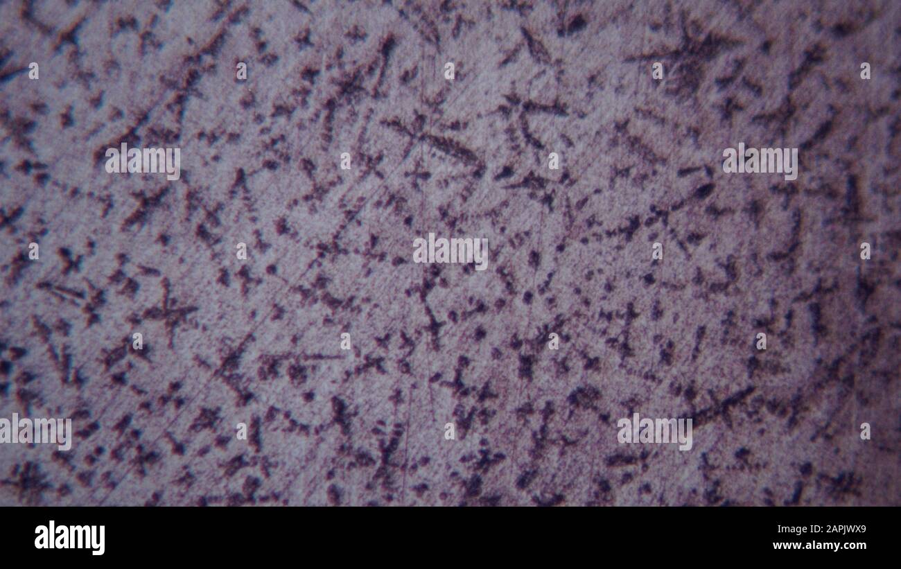 metallurgical micrograph of an as cast tinmans solder 62sn 38Pb
