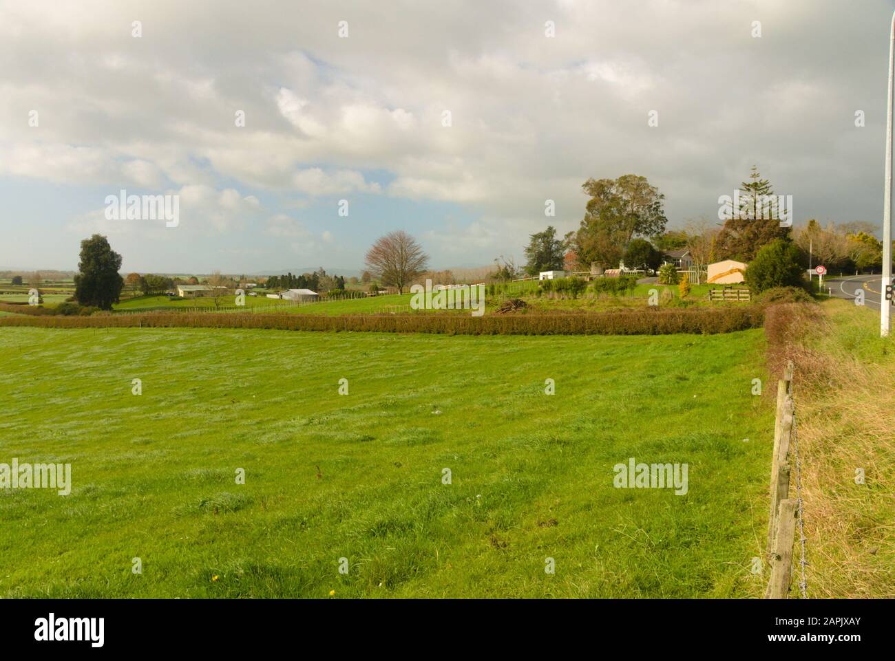Agricultural land, Waikato Region, North Island, New Zealand Stock Photo Alamy