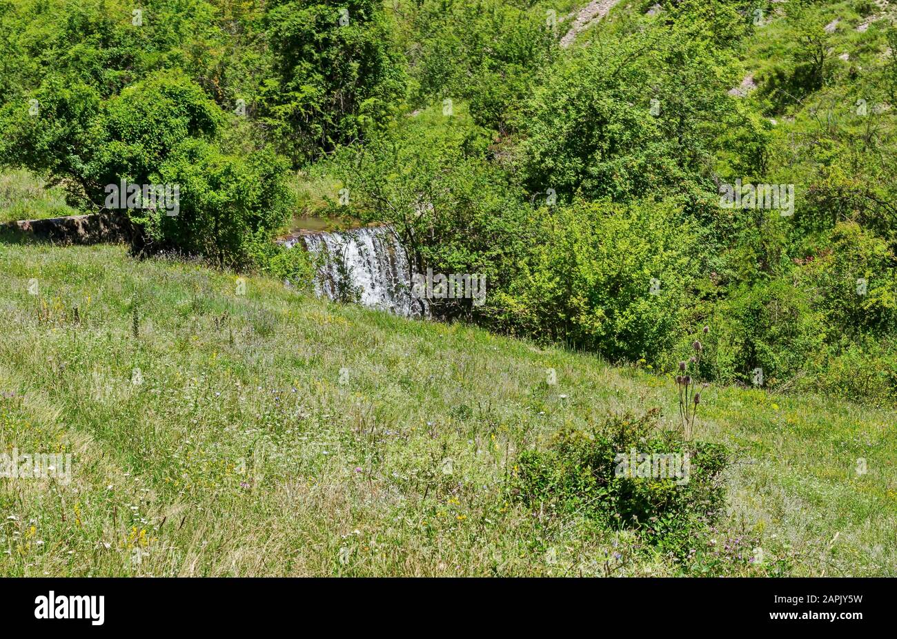 Beautiful  deciduous  forest, fresh glade with different grass and waterfall  in Balkan mountain, near Zhelyava village, Sofia region, Bulgaria Stock Photo