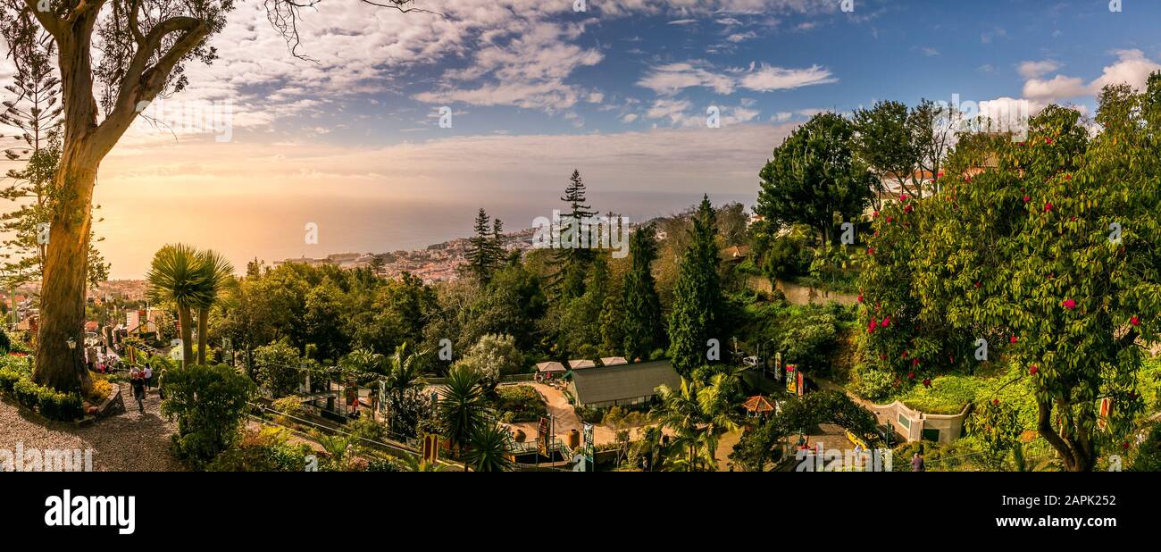 Madeira Botanical Garden, Funchal, Portugal. Stock Photo