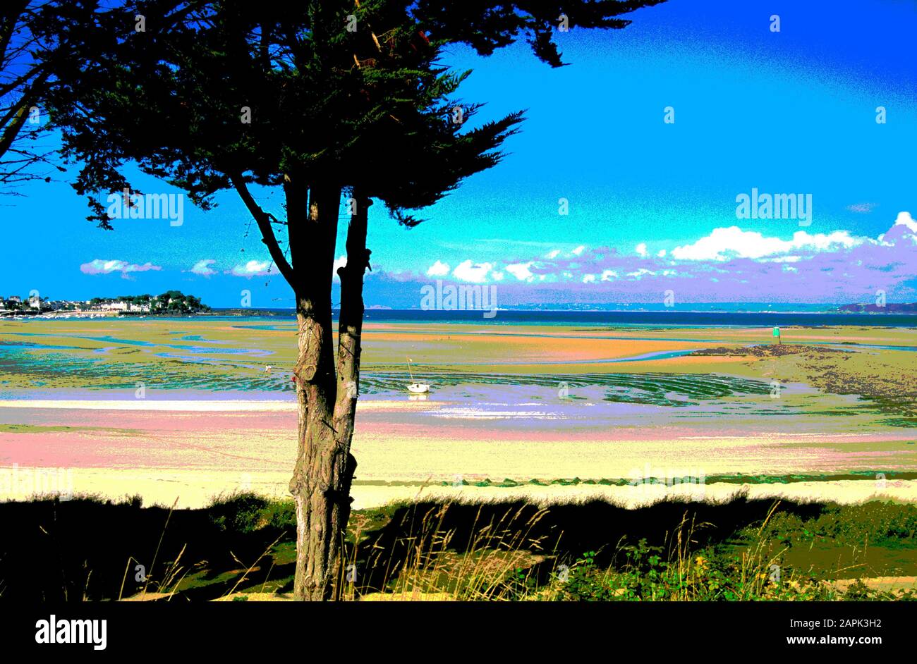 Low tide at Locquirec, Brittany, France Stock Photo - Alamy