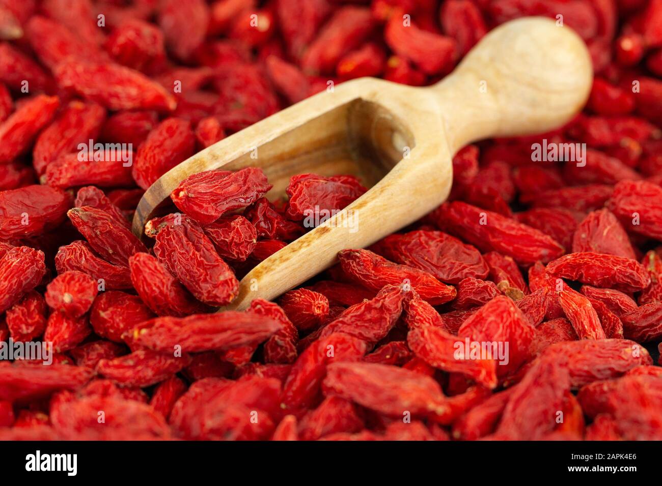 Scoop with dried goji berries in close-up, selective focus Stock Photo