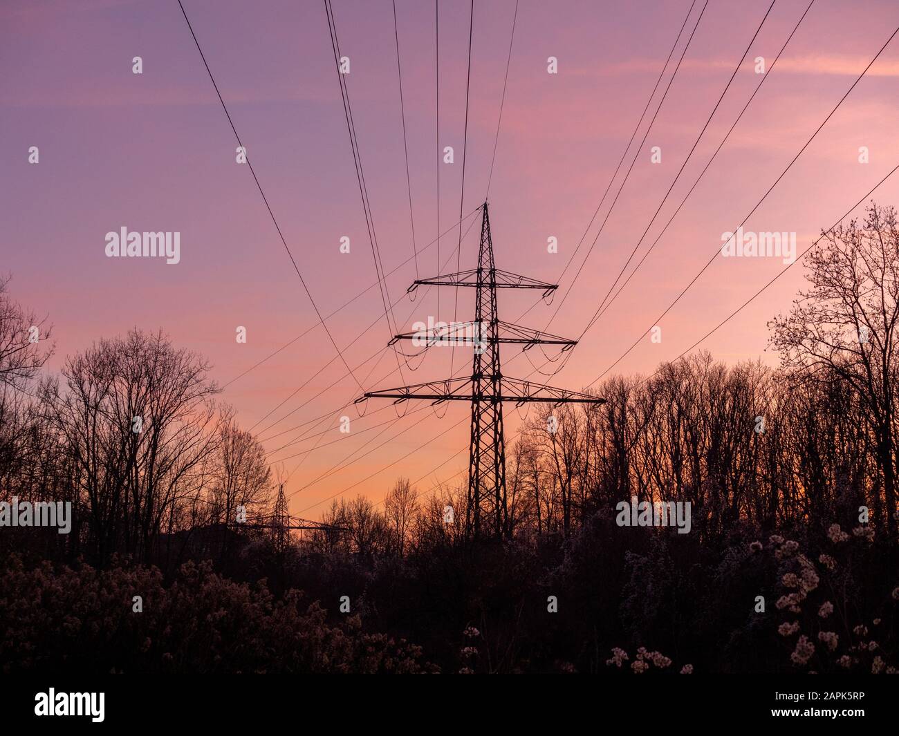 Silhouette of poles and power lines in the sunset Stock Photo