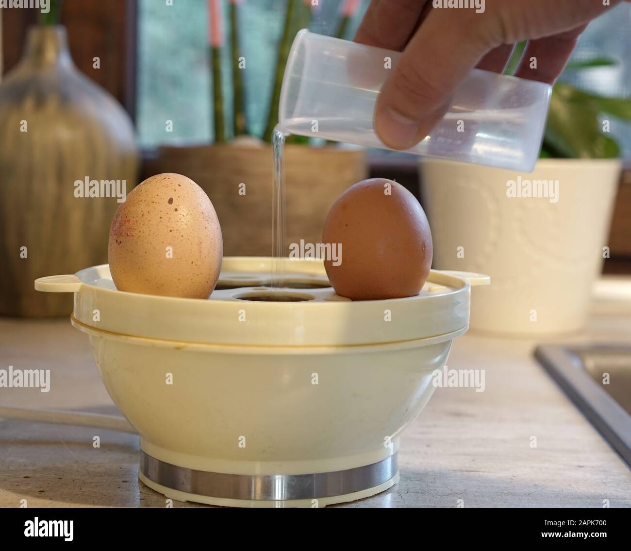 adding water to a home egg cooker Stock Photo Alamy