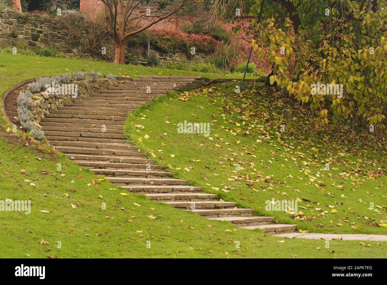 a low down view of curved garden steps going up with grass on either side and trees at the top and autumn leaves on the grass Stock Photo