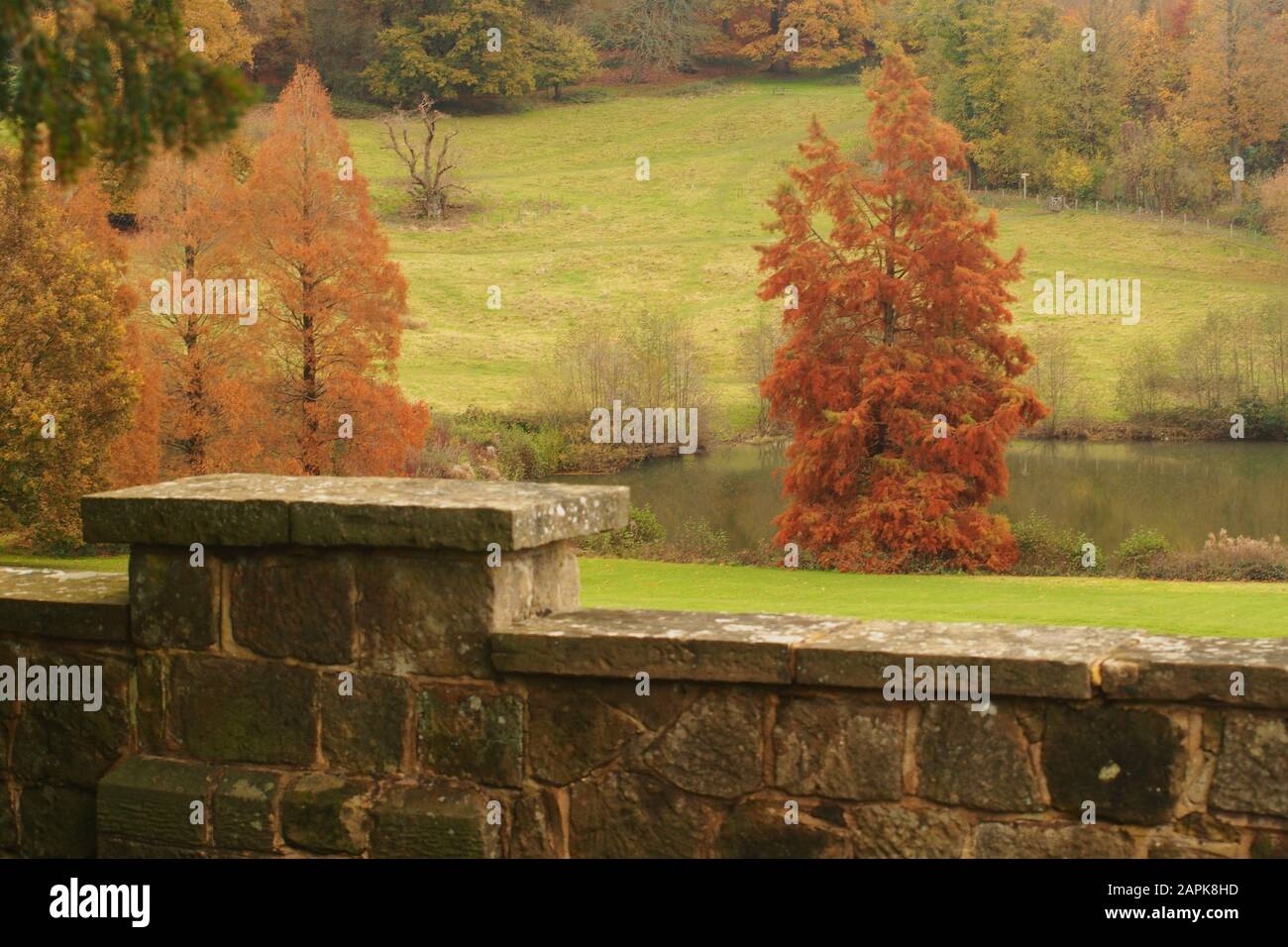 A view looking over a stone garden wall to sloping grass down to a lake with trees in their autumn colours and a woodland beyond Stock Photo
