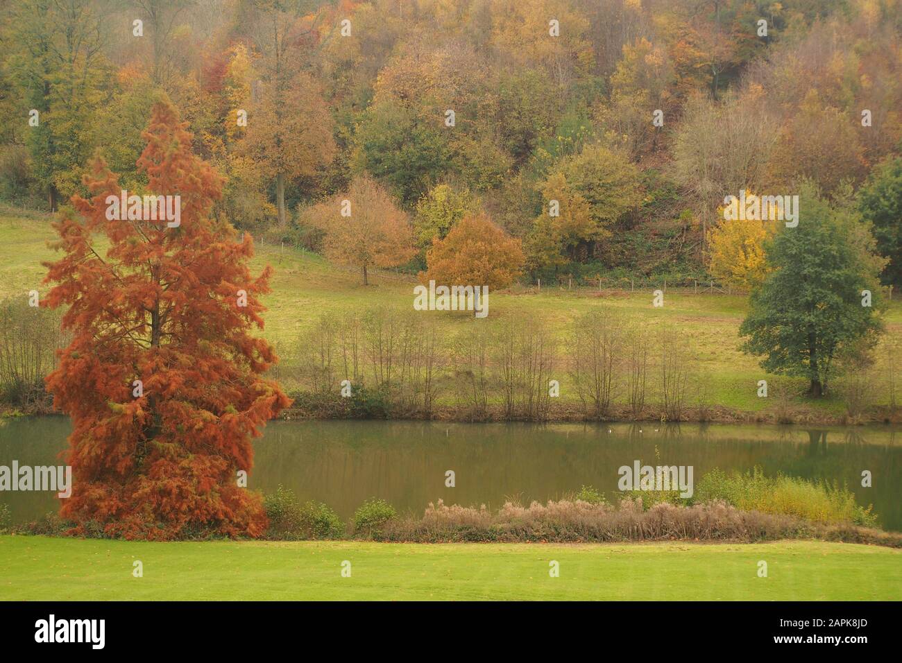 A view across an autumn garden across a lawn down to a lake with trees beyond in their autumn colours Stock Photo