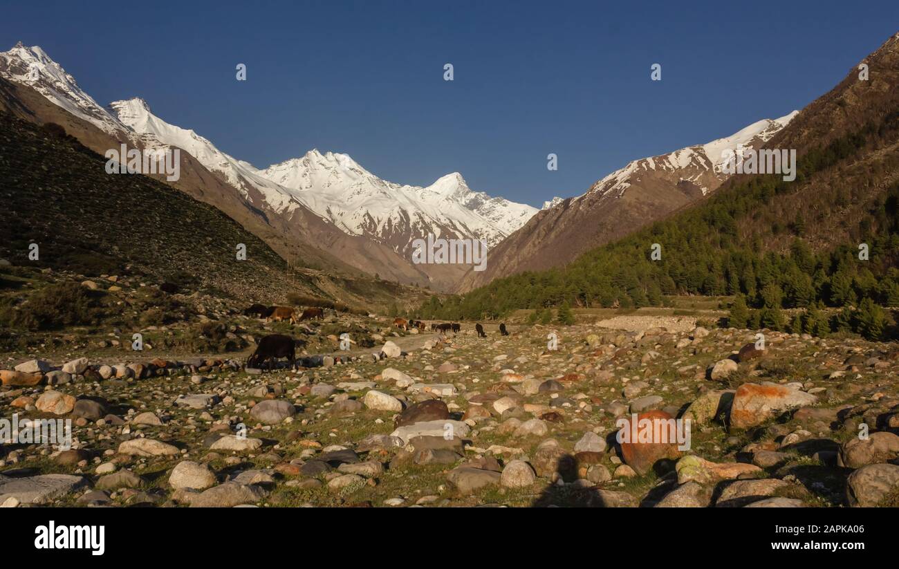 Snow capped mountains himalayas hi-res stock photography and images - Alamy