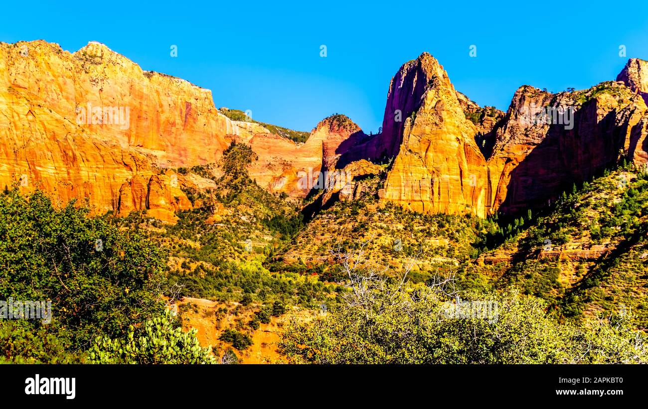 View of Nagunt Mesa,  and other Red Rock Peaks of the Kolob Canyon part of Zion National Park, Utah, US. Viewed from the East Kolob Canyon Road Stock Photo
