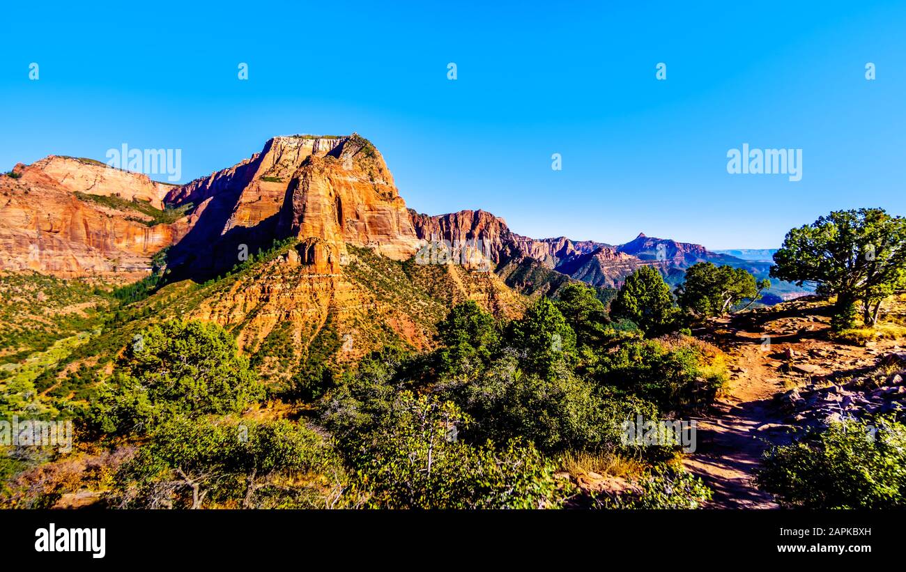 View of the Shuntavi Butte and other Red Rock Peaks of the Kolob Canyon part of Zion National Park, Utah, US. Viewed from the Timber Creek Lookout Stock Photo