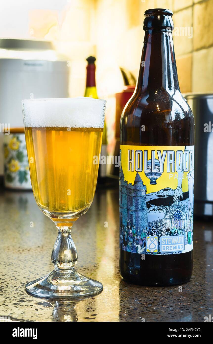 Scottish Hollyrood pale ale poured into a glass and ready to drink Stock Photo