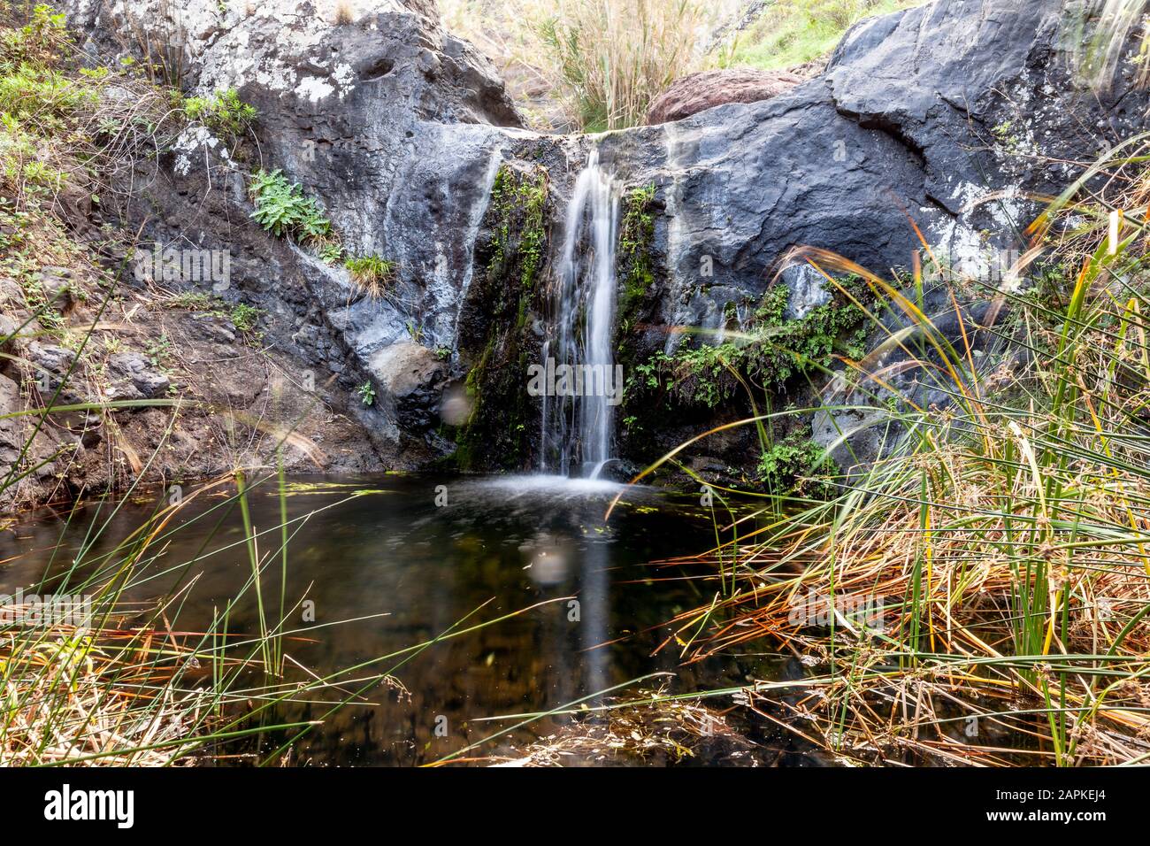 Stagnant irrigation water hi-res stock photography and images - Alamy