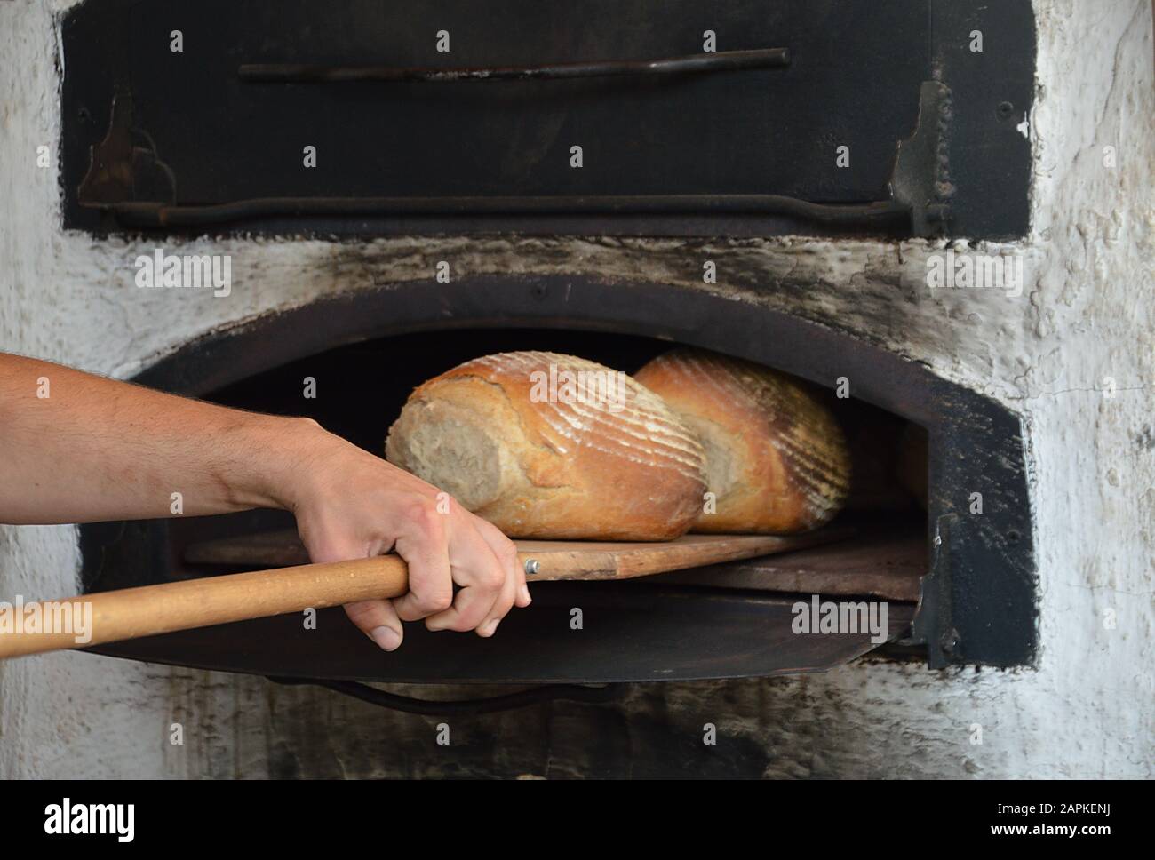 Rofco B40 Stone Oven, image size:1300x968