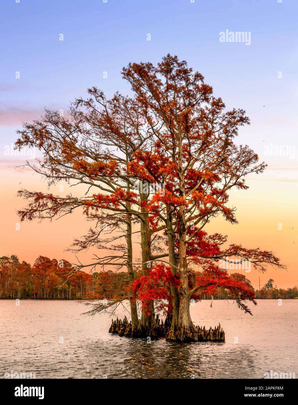 Edenton, North Carolina Stock Photo Alamy