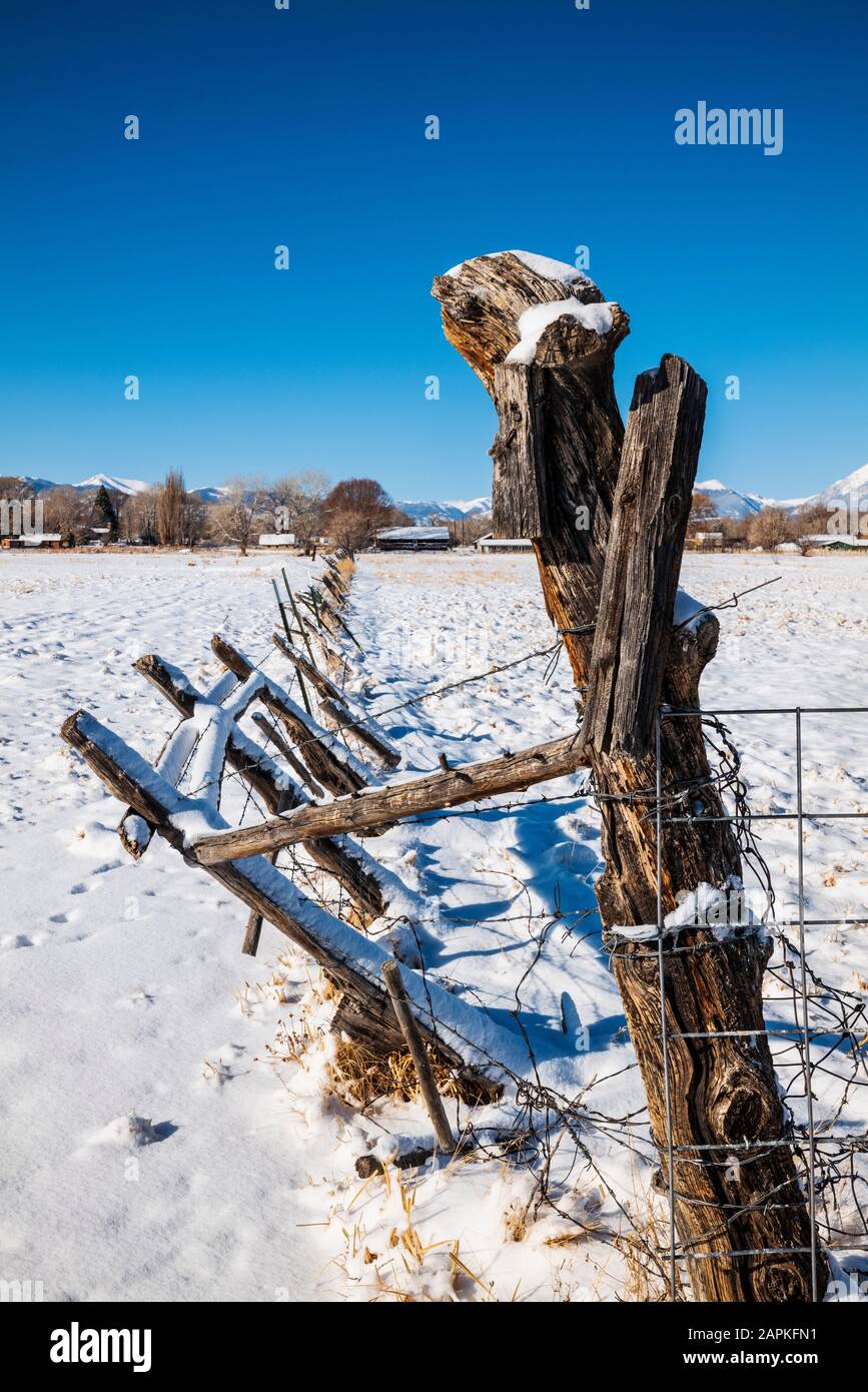 Barbed wire fence & wooden fence posts; snow covered pasture; ranch in ...