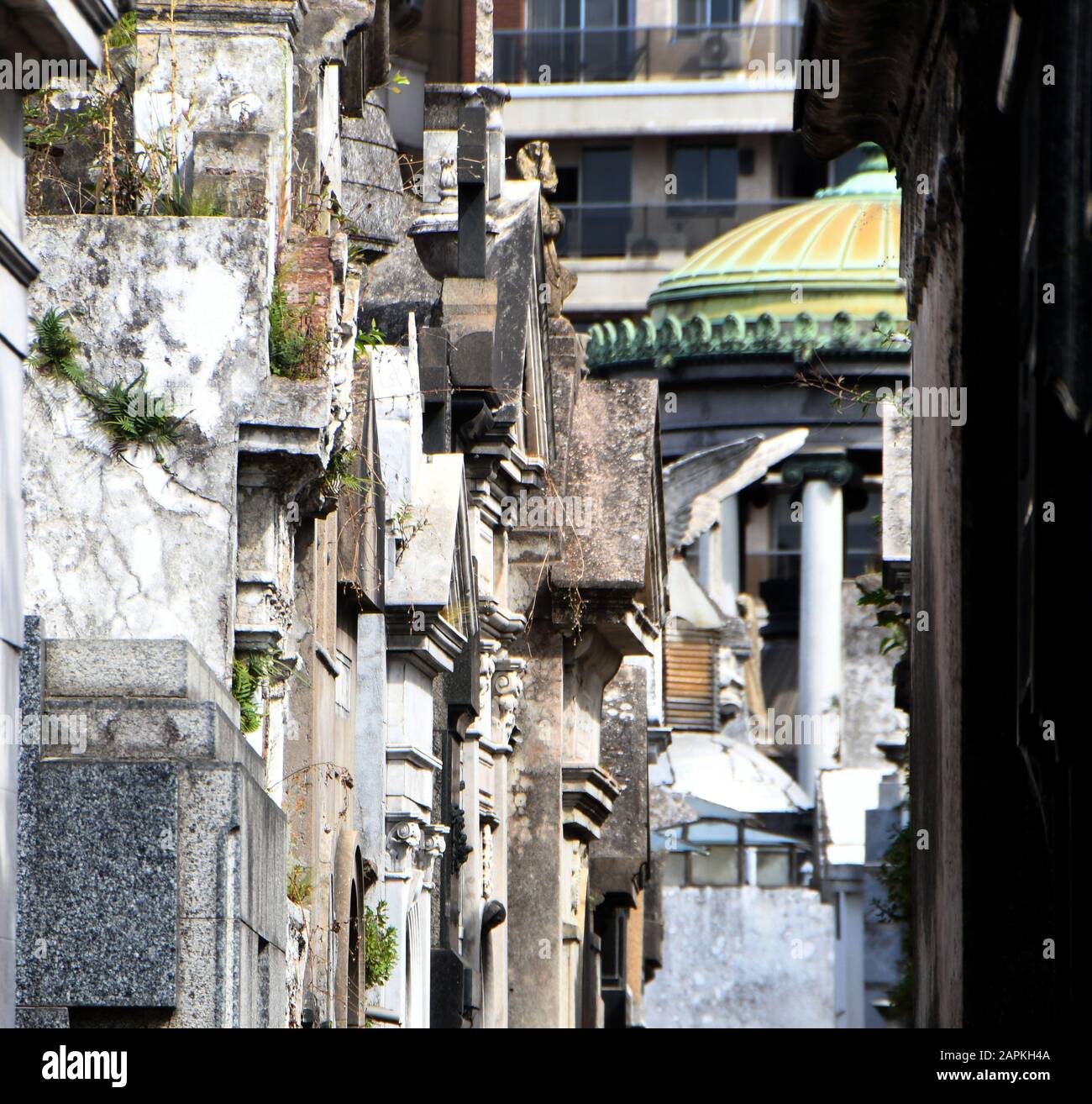 Buenos Aires, Argentina. 1st Mar, 2019. The Cementerio de la Recoleta, or Recoleta Cemetery, is one of Buenos Aires's most popular tourist destinations. Many of Argentina's luminaries are buried in granite and bronze mausoleums. Photos Friday March 1, 2019 Credit: Mark Hertzberg/ZUMA Wire/Alamy Live News Stock Photo