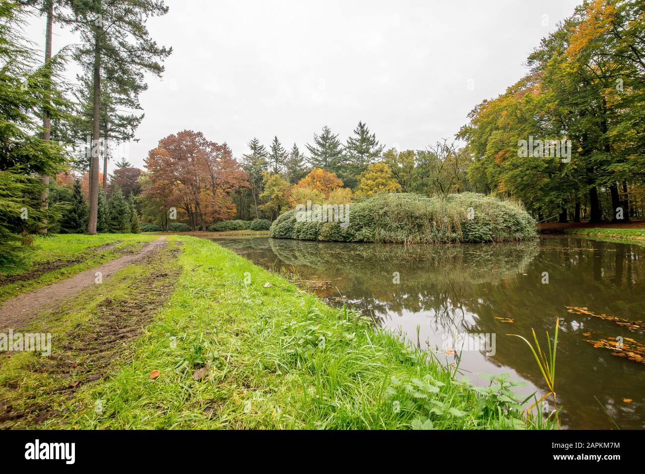 Amazing shot of a park with a lake and a pathway surrounded by trees ...