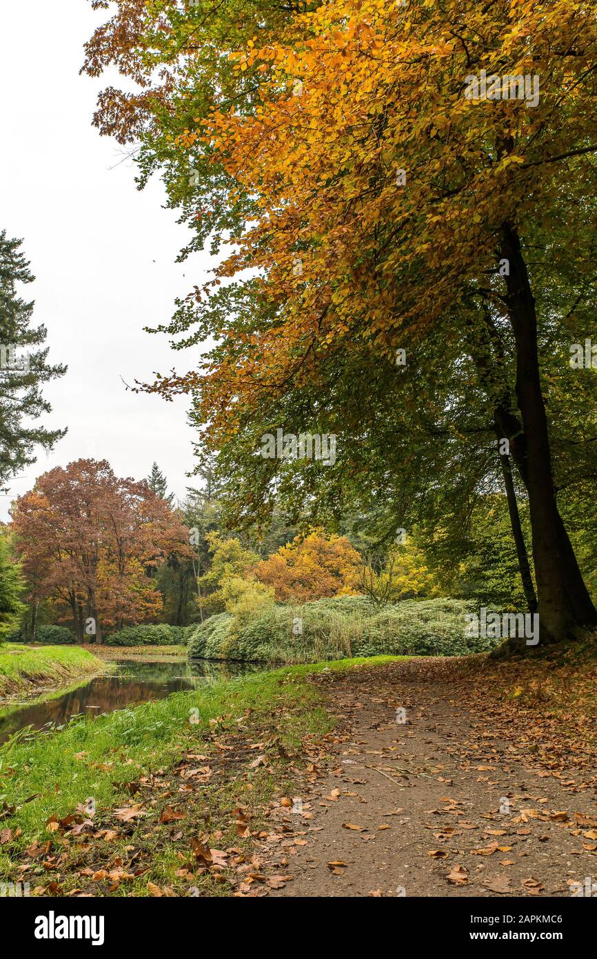 Beautiful view of a park filled with trees with a pathway by the lake ...