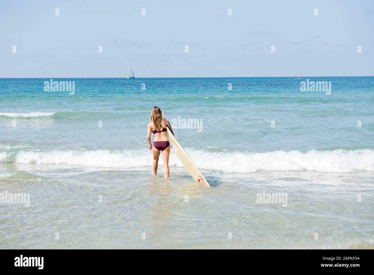Surfs up as a female surfer heads into the waves in Israel Stock Photo